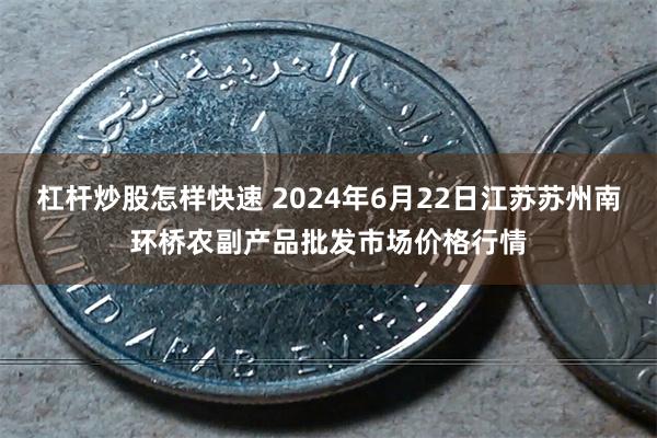 杠杆炒股怎样快速 2024年6月22日江苏苏州南环桥农副产品批发市场价格行情