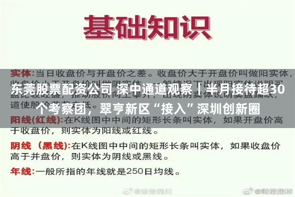 东莞股票配资公司 深中通道观察｜半月接待超30个考察团，翠亨新区“接入”深圳创新圈