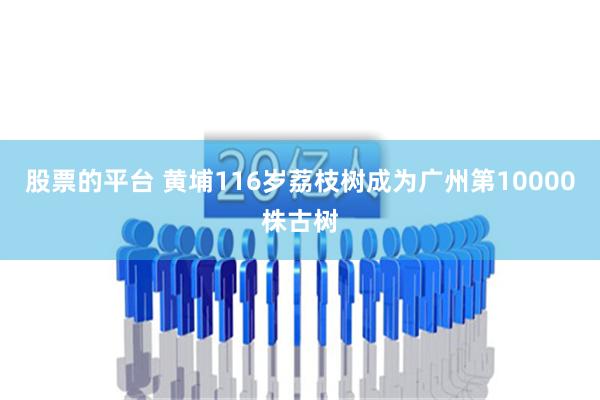 股票的平台 黄埔116岁荔枝树成为广州第10000株古树