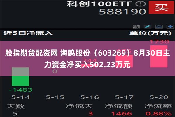 股指期货配资网 海鸥股份（603269）8月30日主力资金净买入502.23万元