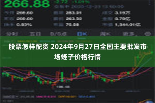 股票怎样配资 2024年9月27日全国主要批发市场蛏子价格行情