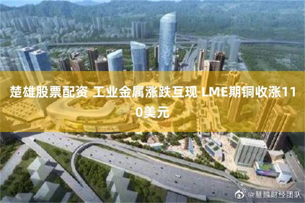 楚雄股票配资 工业金属涨跌互现 LME期铜收涨110美元