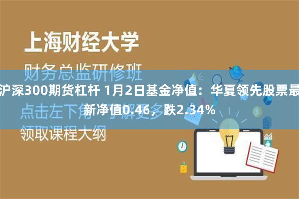 沪深300期货杠杆 1月2日基金净值：华夏领先股票最新净值0.46，跌2.34%