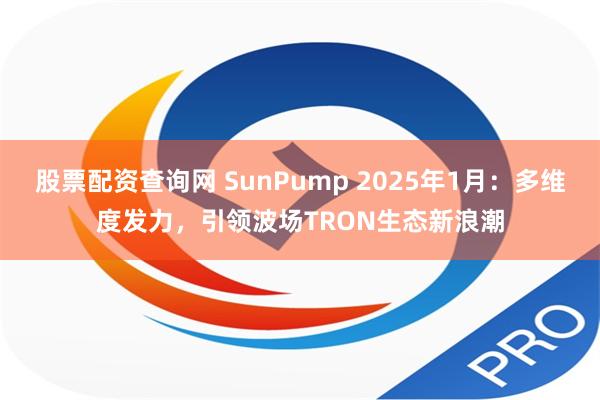 股票配资查询网 SunPump 2025年1月：多维度发力，引领波场TRON生态新浪潮