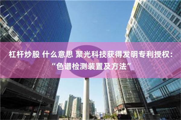 杠杆炒股 什么意思 聚光科技获得发明专利授权：“色谱检测装置及方法”